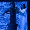 2025_06_Unterstufentheater_Ovid